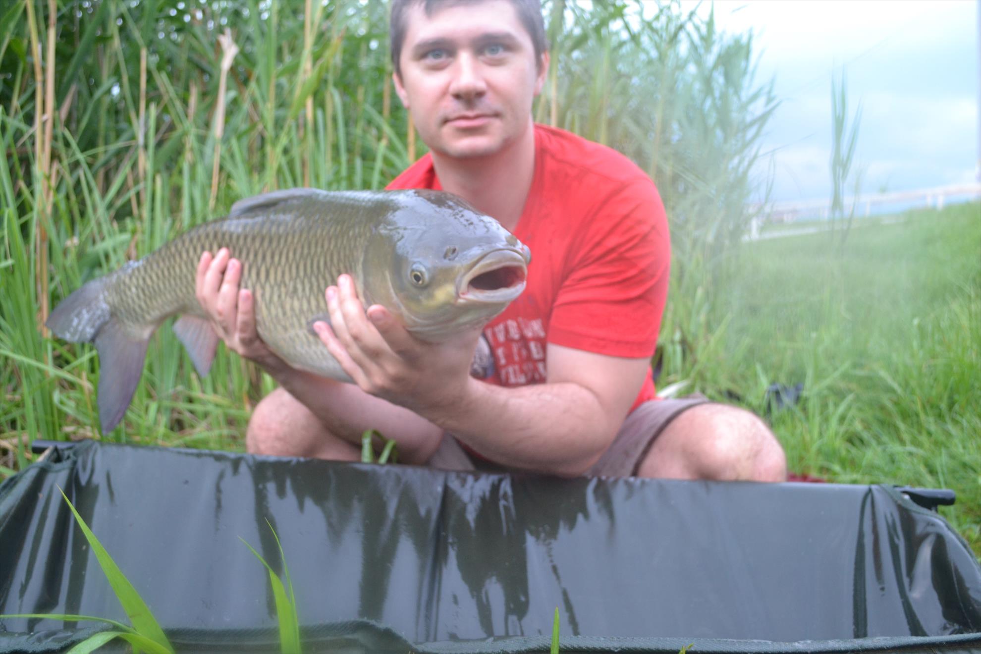 Pescuit Balta Lazar 6-8 iunie 2014 - dsc0055.JPG